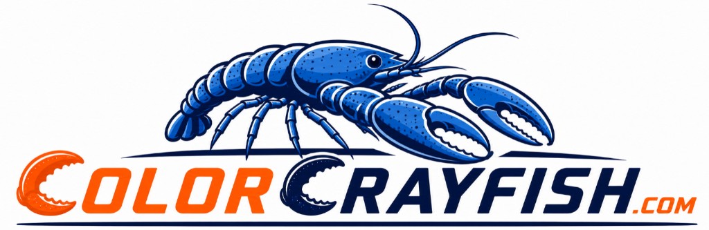Color Crayfish